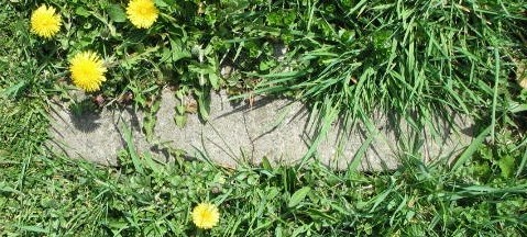 Unknown tombstone